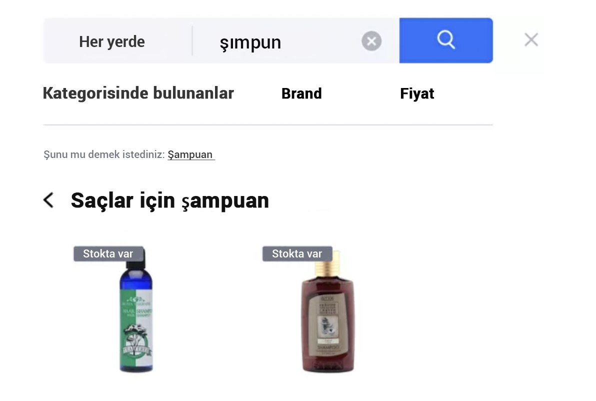 Yazım hatalarının düzeltilmesi